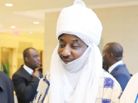 Sanusi Rebukes Ministers in Washington - thisdaylive news.jpg