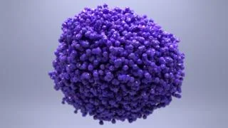 cancer2.webp