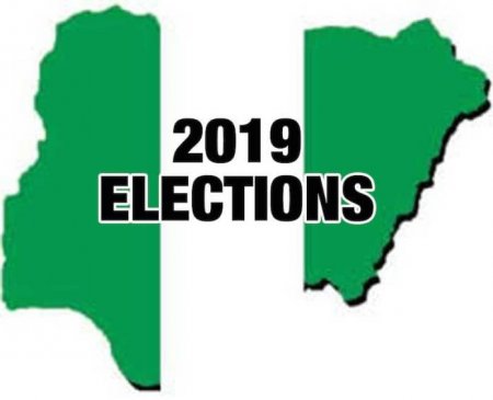 2019-elections - thisdaylive news - abuja.jpg