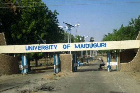 university of maiduguri - 78 first class graduate - today ng news - nigeria metro news.jpg