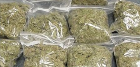 cannabis - punch news - zimbabwe metro news.JPG