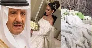 Saudi prince - Sultan Bin Salman - punch newspaper.webp