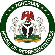 house of reps - nigeria political news - punch newspapers.jpg