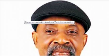 ngige - nigeria political news -punch news.JPG
