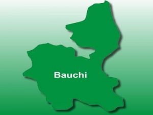 bauchi.jpg