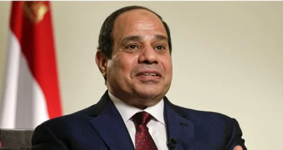 abdel.webp