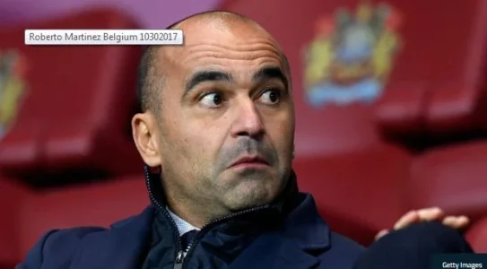 belgium coach.webp