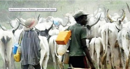 fulani herdsmen.JPG