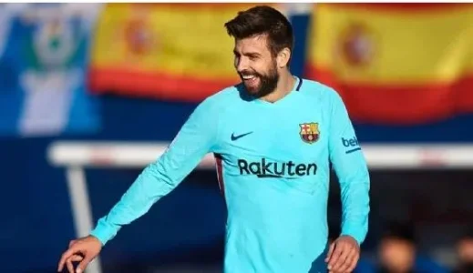 pique ger.webp