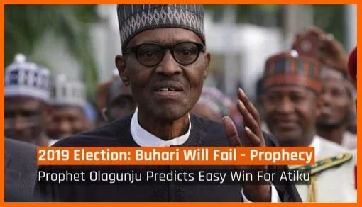 2019 elections.webp