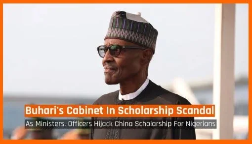 china scholarship.webp