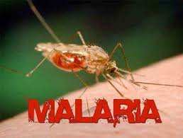 topix-News-Malaria.jpg