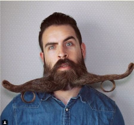 Nairaland-news-Incredible Beards.JPG