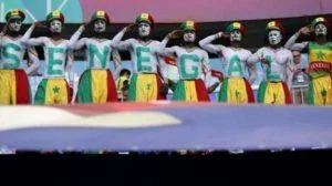 african fans.webp