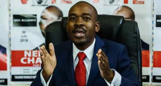 Channels-television-Nelson-Chamisa.webp