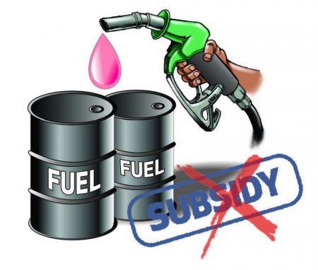 Removal-of-subsidy.jpg