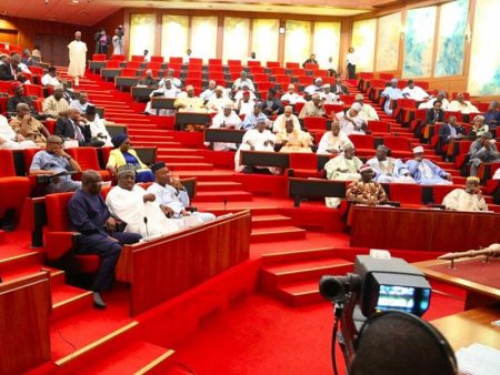 Thisdaylive-Newspaper-Senate-Floor.jpg