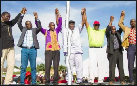 cabinet_chamisa.webp