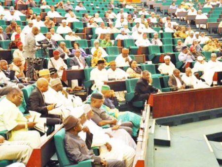 Thisdaylive-Newspaper-House-of-Representatives-in-session.jpg