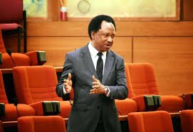 Nairaland-News-Shehu Sani.jpg