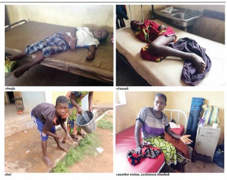 Punch-Nigeria-Newspaper-victims of snakebite.jpg