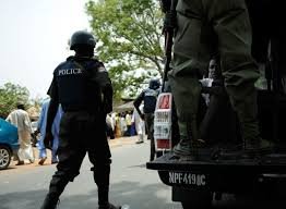 Daily Post Nigeria-Nigeria Police Force.jpg