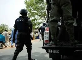 Daily Post Nigeria-Nigeria Police Force.webp