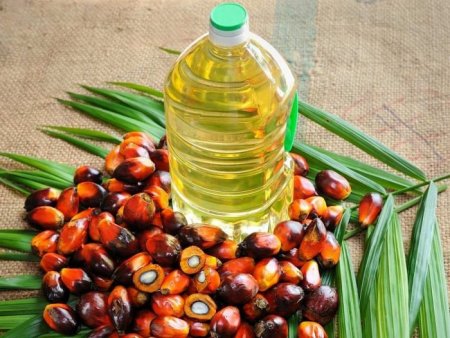 palmoil.jpg