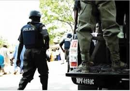 Punch Newspaper-Nigeria Police.jpg