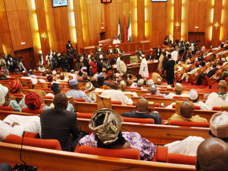 Thisdaylive-Newspaper- National Assembly.png