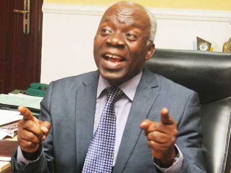 FEMI-FALANA.jpg