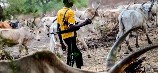 Herdsmen.webp