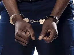 Punch Newspaper-Crime.webp Punch Newspaper-Crime.webp