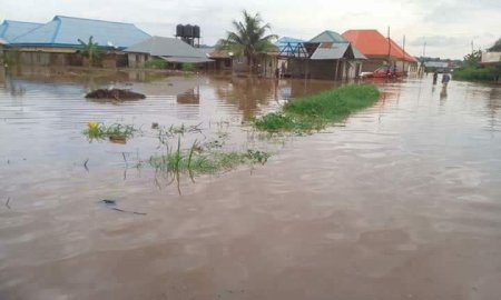 PM News Nigeria-Flood.jpg