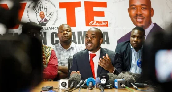Channels Television-Nelson Chamisa.webp