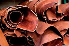 Thisdaylive Newspaper-Leather Industry.jpg