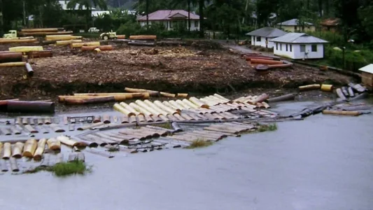 niger delta.webp niger delta.webp