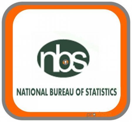 National-Bureau-of-Statistic.jpg