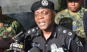 Punch Newspaper- Imohimi Edgal.jpg