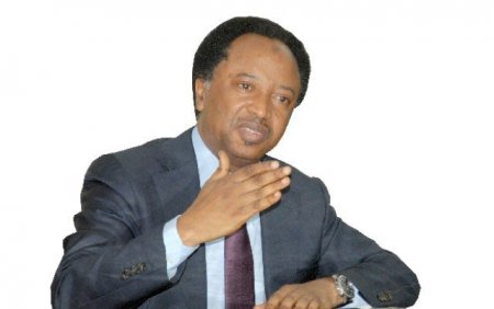 shehu-sani.jpg