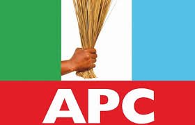 Punch Newspaper-APC.jpg