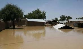 The Guardian Nigeria Newspaper-kano Flood.jpg