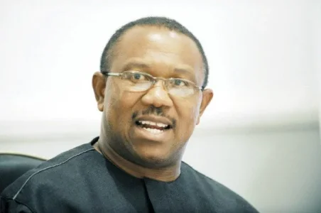 Daily Post Nigeria-Peter Obi.webp