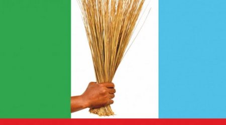 Thisdaylive Newspaper-APC.jpg