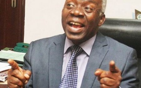 falana.JPG