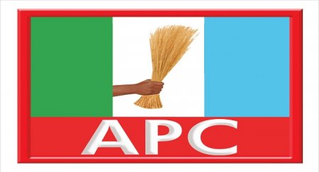 APC-Logo.jpg