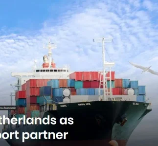 exports.webp exports.webp