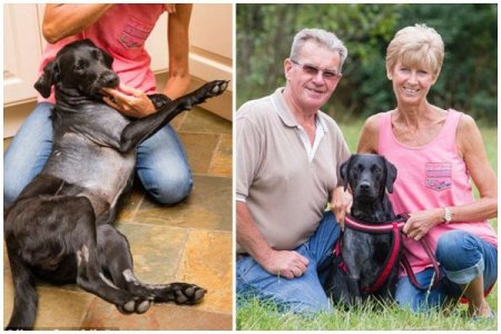 Laila’s Blog- Couple-spends-£12000-N5.6million-to-save-dog-lottie.jpg