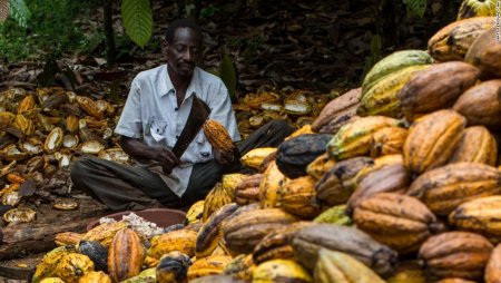 cocoa-farmer.jpg