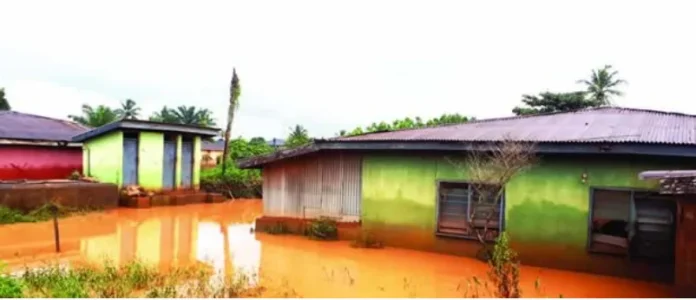 Flood.webp
